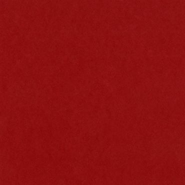 Bazzill Card Shoppe Heavyweight Cardstock 12"X12" - Peppermint