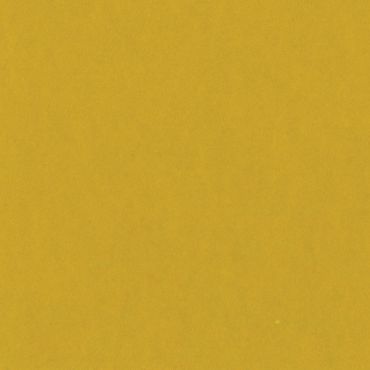 Bazzill Card Shoppe Heavyweight Cardstock 12"X12" - Gold Coins