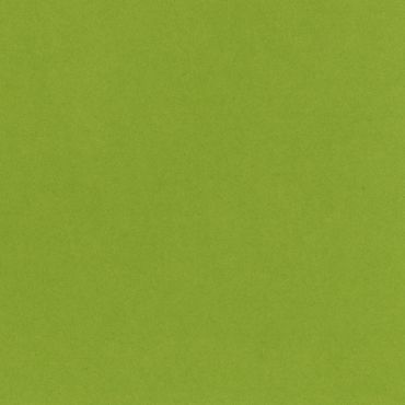 Bazzill Card Shoppe Heavyweight Cardstock 12"X12"  - Easter Grass