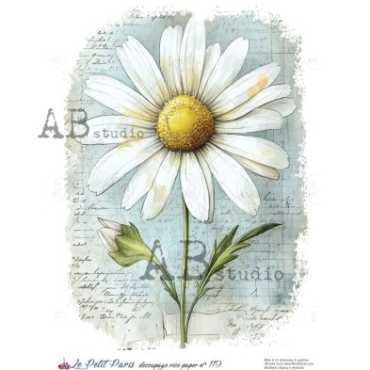 AB STUDIO Rice Paper Paris119