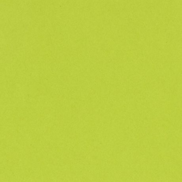 BAZZILL CARD SHOPPE JUICY PEAR 12X12 CARTON