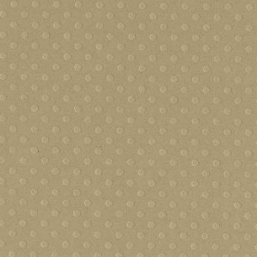 Bazzill Dotted Swiss Cardstock 12"X12" - Rope Swing