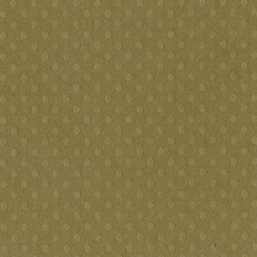 Bazzill Dotted Swiss Cardstock 12"X12" - Mud Puddle