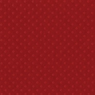 Bazzill Dotted Swiss Cardstock 12"X12" - Phoenix