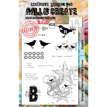 AALL & CREATE BLACKBIRD 530 ETAMPE A5