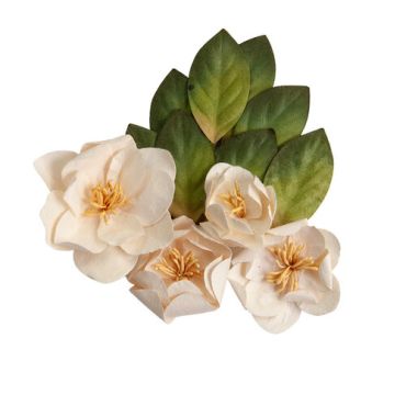 PRIMA MAGNOLIA ROUGE PEACEFUL MAGNOLIA FLEURS