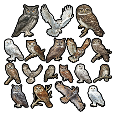Simply Stated - The Cataloguer's Cabinet - Éphémères Owls