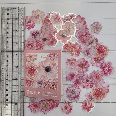 BLOOMING FLOWERS - ROSE