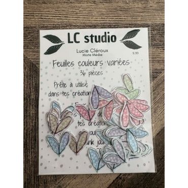 LC Studio - Feuilles Couleurs Variées, 36 pièces