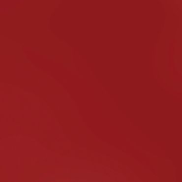 BAZZILL CARD SHOPPE RED HOTS 12X12 CARTON