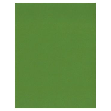 BAZZILL CARD SHOPPE CARAMEL APPLE 8.5 X 11 CARTON