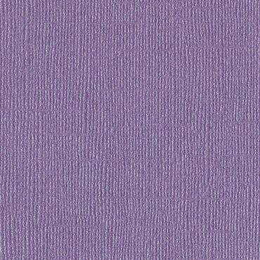 BAZZILL BLING FLIRTY 12X12 CARTON BRILLANT