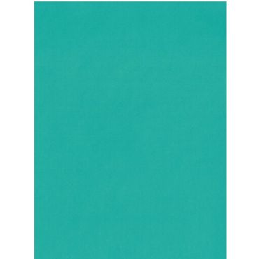 BAZZILL CARD SHOPPE CANDY NECKLACE 8.5 X 11 CARTON