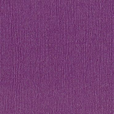 BAZZILL BLING ROYALTY 12X12 CARTON BRILLANT