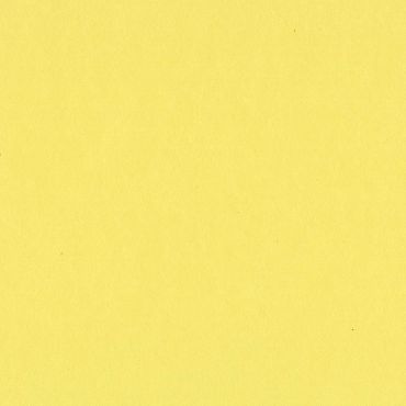 BAZZILL CARD SHOPPE SOUR LEMON 12X12 CARTON