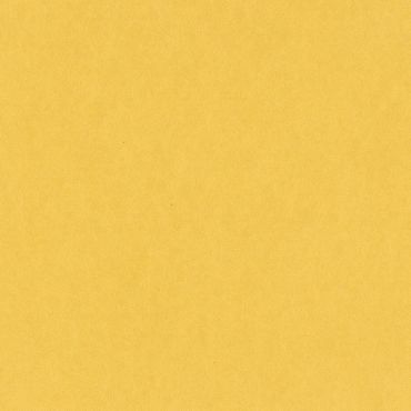 BAZZILL CARD SHOPPE BANANA SPLIT 12X12 CARTON
