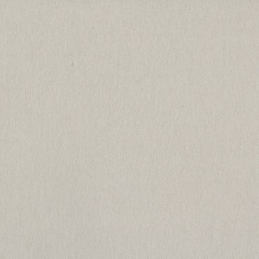 BAZZILL CARD SHOPPE ALPACA 12X12 CARTON