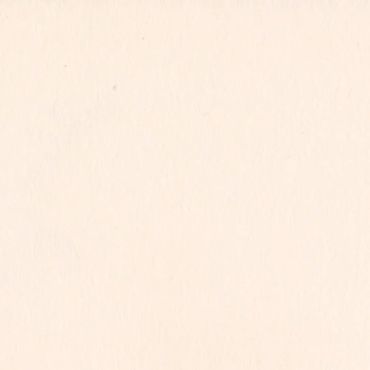 BAZZILL CARD SHOPPE PALE ROSE 12X12 CARTON