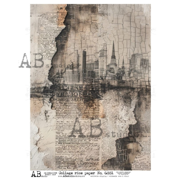 AB STUDIO Paper Rice No.6881