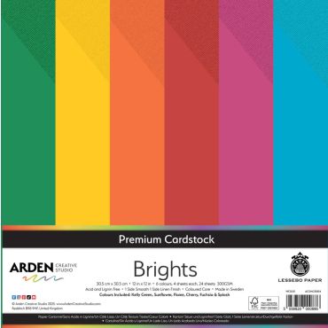Arden Creative Studio Papier cartonné premium 12x12, 300gsm - Brights - Paquet de 24