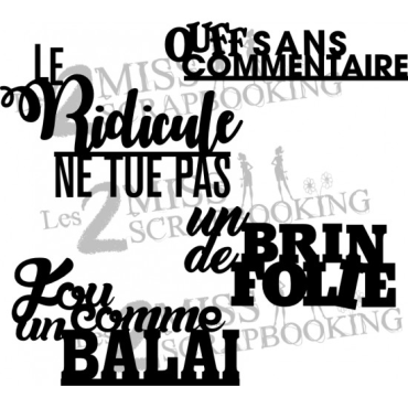 Les 2 Miss Scrapbooking Chipboard : Kit Folie